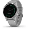 Garmin Vivoactive 4S Montre Connectée, Gris/argent
